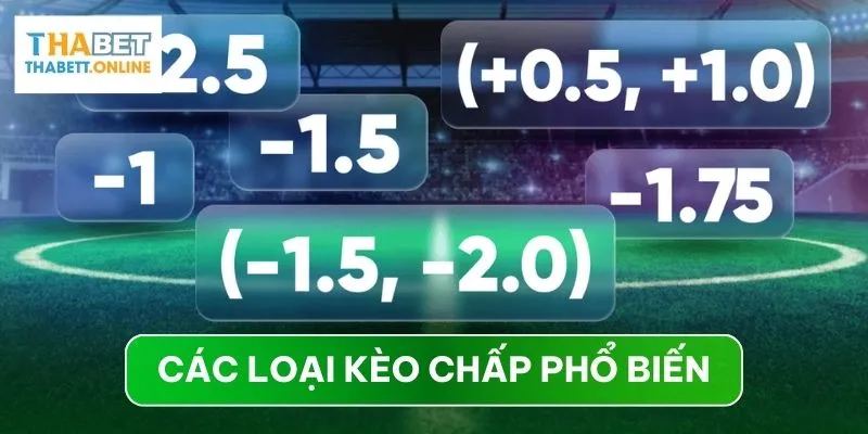 Các loại kèo chấp trên THABET có độ nảy nhỏ nhất là 0.25